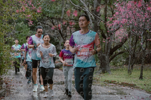 2026左岸竹東櫻花馬拉松Zhudong Sakura Marathon