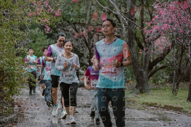 2026左岸竹東櫻花馬拉松Zhudong Sakura Marathon