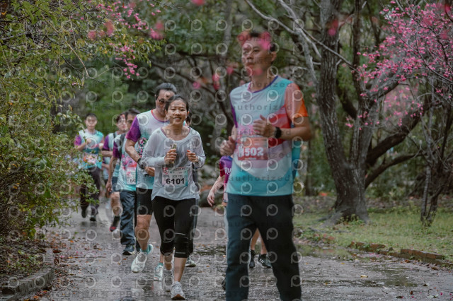 2026左岸竹東櫻花馬拉松Zhudong Sakura Marathon