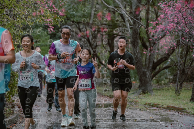 2026左岸竹東櫻花馬拉松Zhudong Sakura Marathon