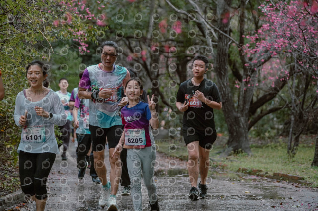2026左岸竹東櫻花馬拉松Zhudong Sakura Marathon