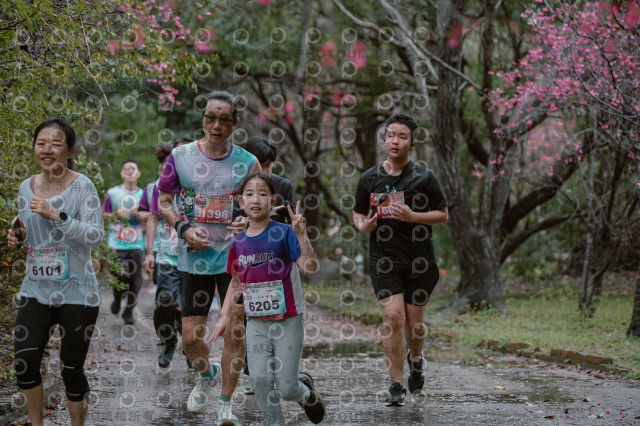 2026左岸竹東櫻花馬拉松Zhudong Sakura Marathon