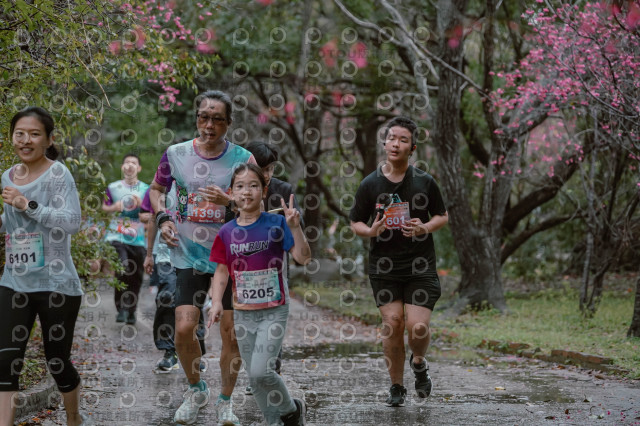 2026左岸竹東櫻花馬拉松Zhudong Sakura Marathon