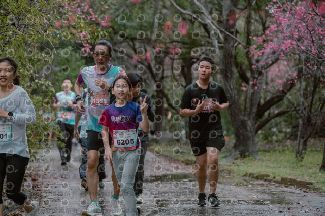 2026左岸竹東櫻花馬拉松Zhudong Sakura Marathon