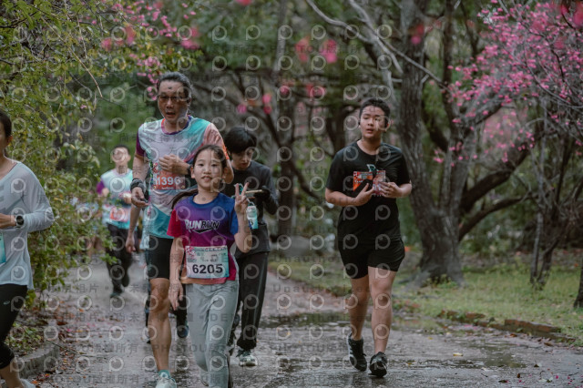 2026左岸竹東櫻花馬拉松Zhudong Sakura Marathon
