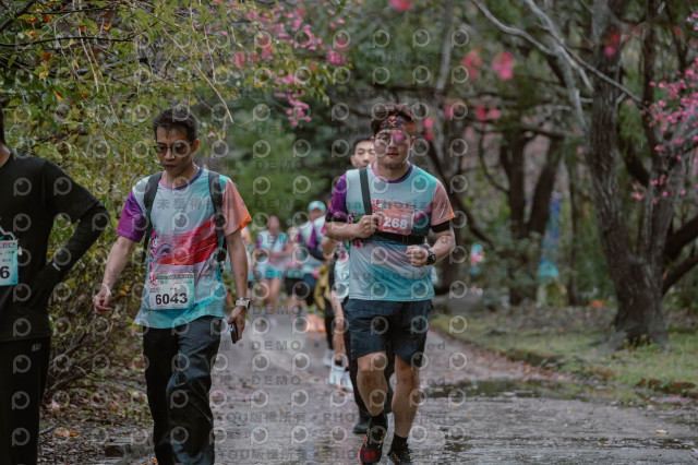 2026左岸竹東櫻花馬拉松Zhudong Sakura Marathon