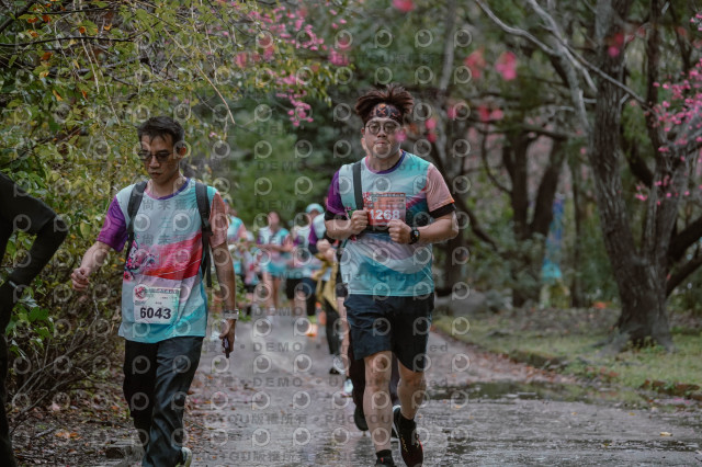 2026左岸竹東櫻花馬拉松Zhudong Sakura Marathon