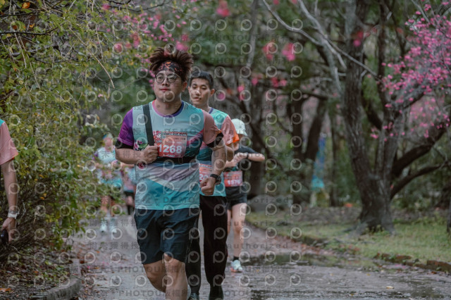 2026左岸竹東櫻花馬拉松Zhudong Sakura Marathon