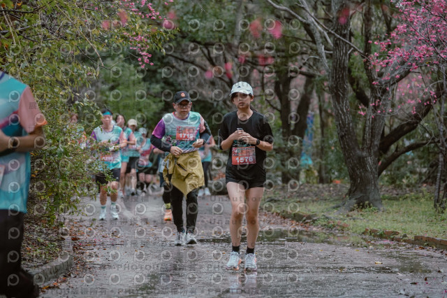 2026左岸竹東櫻花馬拉松Zhudong Sakura Marathon