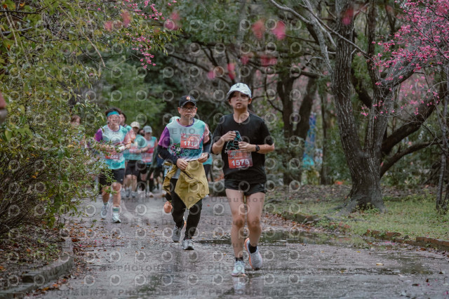 2026左岸竹東櫻花馬拉松Zhudong Sakura Marathon