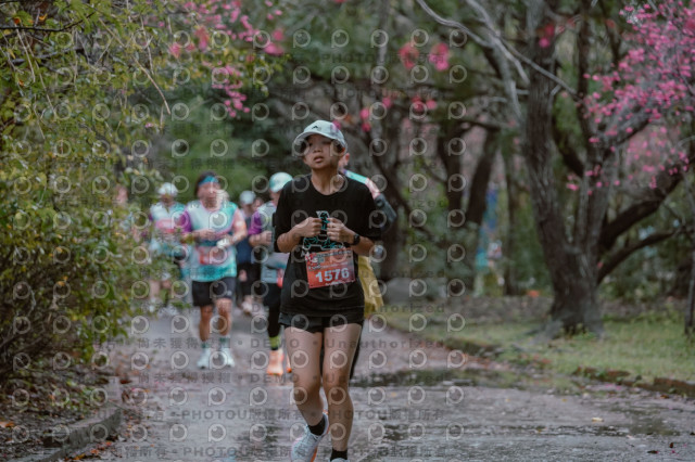 2026左岸竹東櫻花馬拉松Zhudong Sakura Marathon