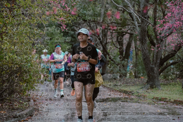 2026左岸竹東櫻花馬拉松Zhudong Sakura Marathon