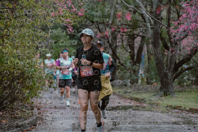 2026左岸竹東櫻花馬拉松Zhudong Sakura Marathon