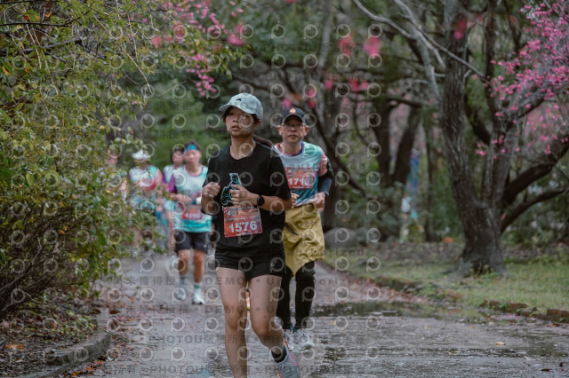 2026左岸竹東櫻花馬拉松Zhudong Sakura Marathon
