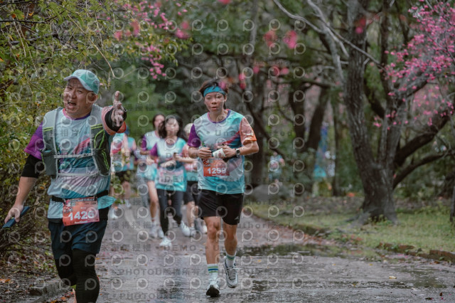 2026左岸竹東櫻花馬拉松Zhudong Sakura Marathon