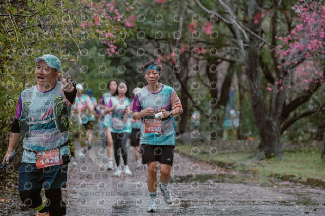 2026左岸竹東櫻花馬拉松Zhudong Sakura Marathon