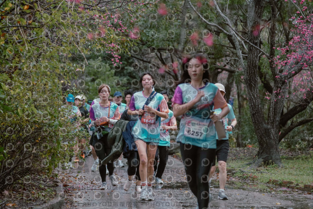 2026左岸竹東櫻花馬拉松Zhudong Sakura Marathon