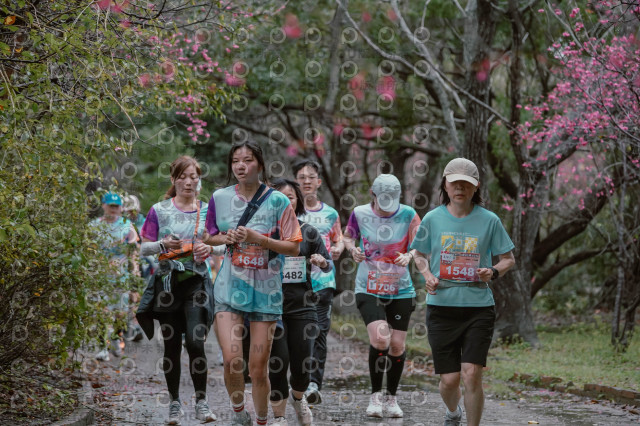 2026左岸竹東櫻花馬拉松Zhudong Sakura Marathon