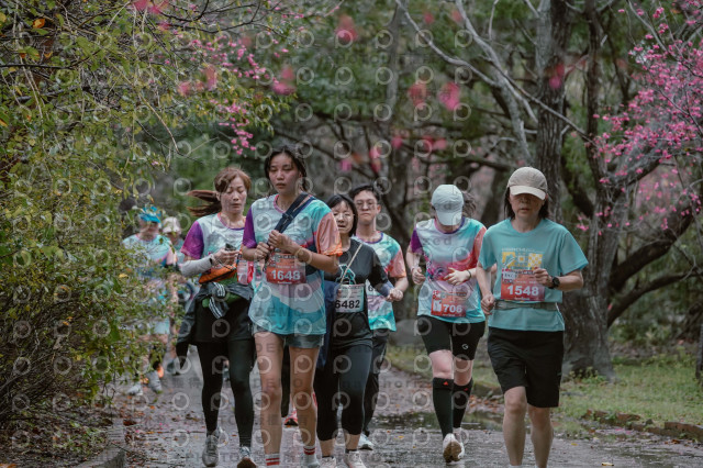 2026左岸竹東櫻花馬拉松Zhudong Sakura Marathon