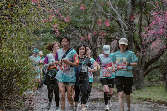 2026左岸竹東櫻花馬拉松Zhudong Sakura Marathon