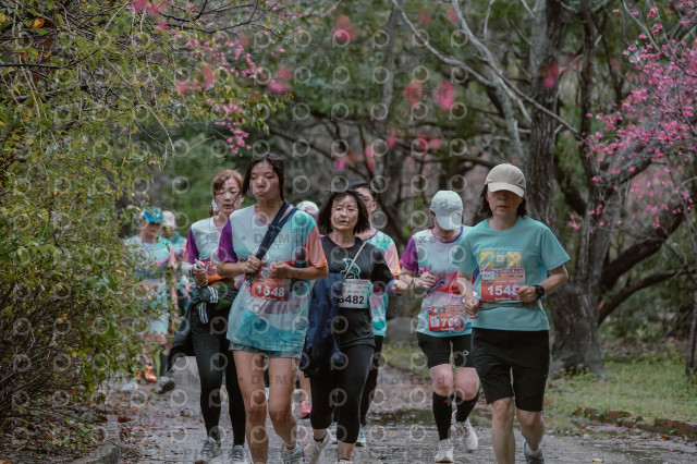 2026左岸竹東櫻花馬拉松Zhudong Sakura Marathon