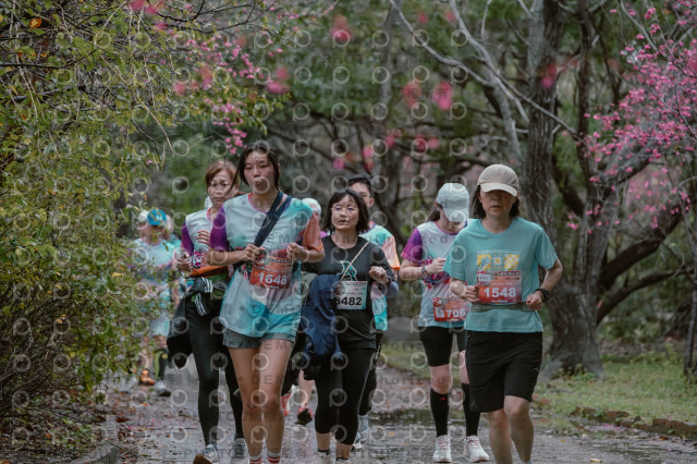 2026左岸竹東櫻花馬拉松Zhudong Sakura Marathon