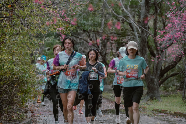 2026左岸竹東櫻花馬拉松Zhudong Sakura Marathon