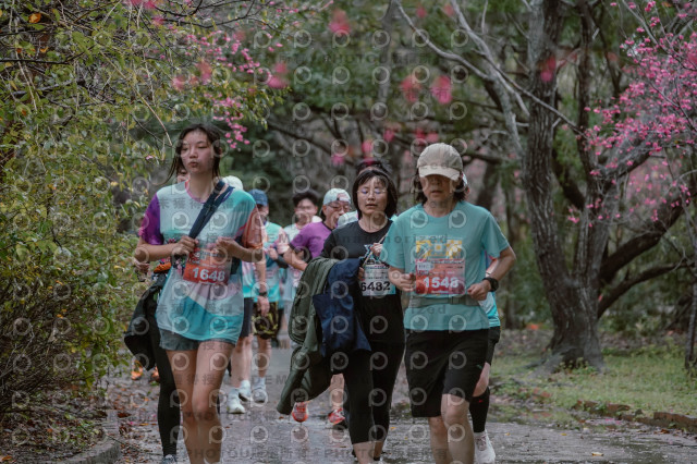 2026左岸竹東櫻花馬拉松Zhudong Sakura Marathon