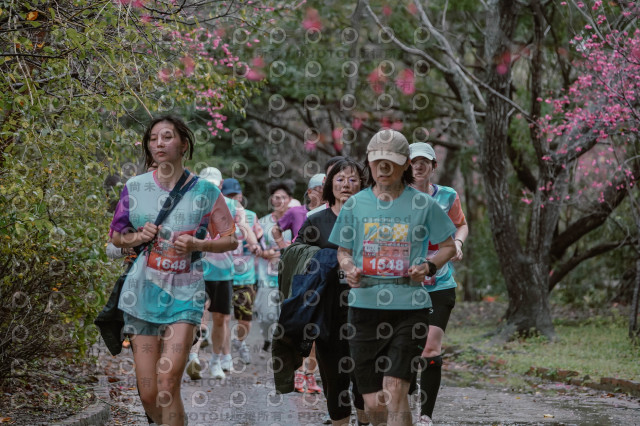 2026左岸竹東櫻花馬拉松Zhudong Sakura Marathon