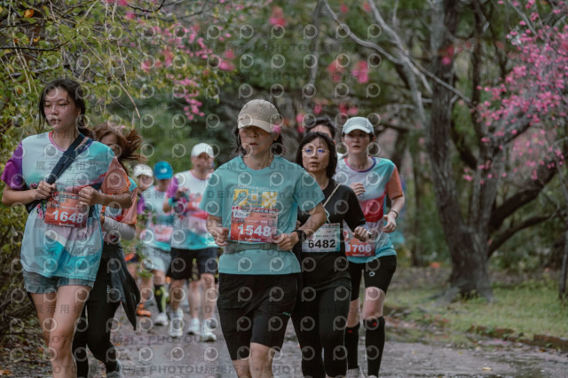 2026左岸竹東櫻花馬拉松Zhudong Sakura Marathon