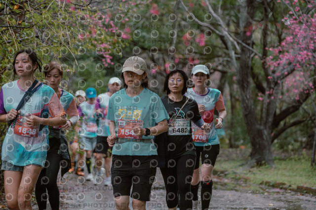 2026左岸竹東櫻花馬拉松Zhudong Sakura Marathon