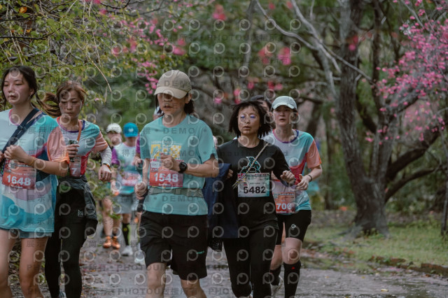 2026左岸竹東櫻花馬拉松Zhudong Sakura Marathon