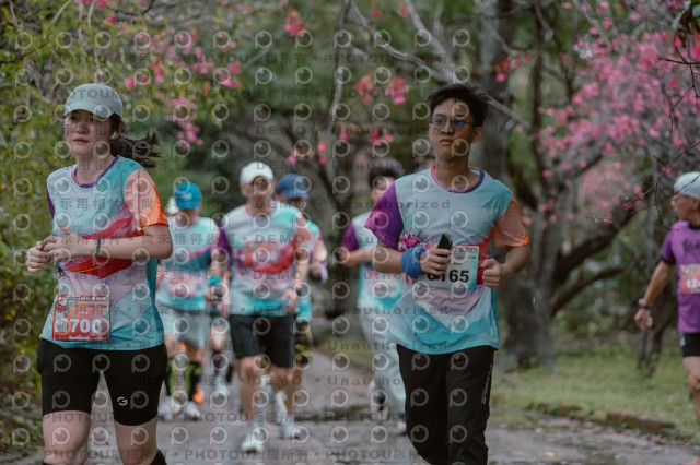 2026左岸竹東櫻花馬拉松Zhudong Sakura Marathon