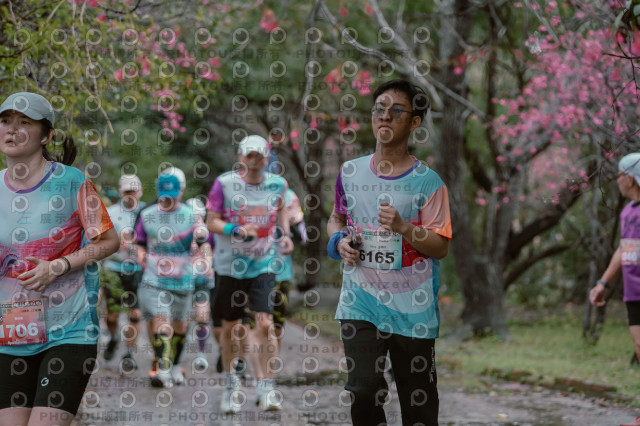 2026左岸竹東櫻花馬拉松Zhudong Sakura Marathon