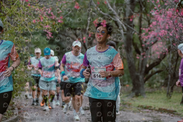 2026左岸竹東櫻花馬拉松Zhudong Sakura Marathon