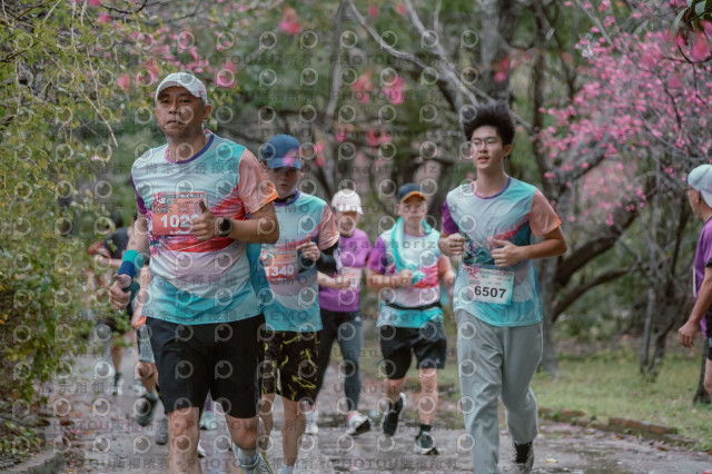 2026左岸竹東櫻花馬拉松Zhudong Sakura Marathon