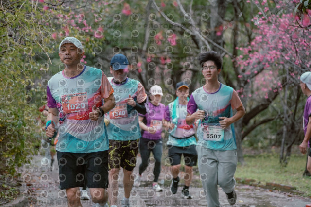 2026左岸竹東櫻花馬拉松Zhudong Sakura Marathon