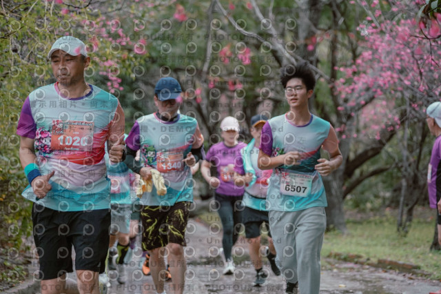 2026左岸竹東櫻花馬拉松Zhudong Sakura Marathon