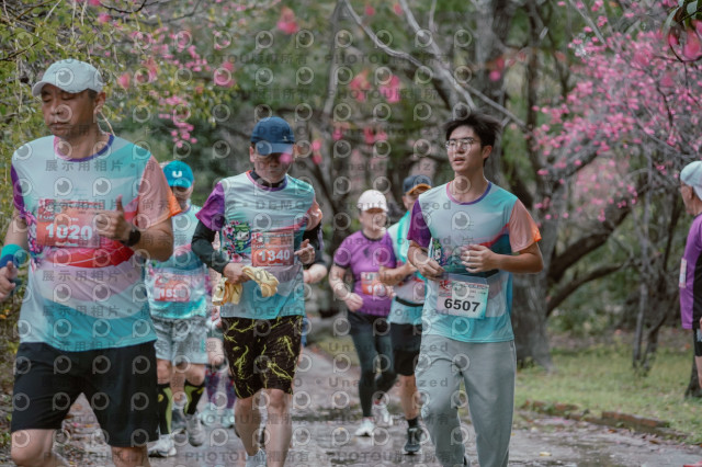 2026左岸竹東櫻花馬拉松Zhudong Sakura Marathon