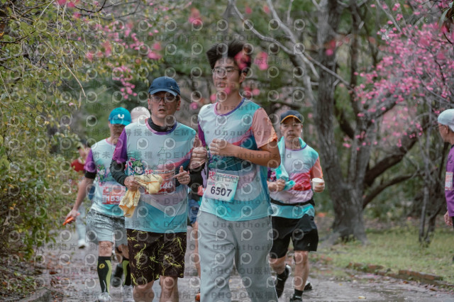 2026左岸竹東櫻花馬拉松Zhudong Sakura Marathon