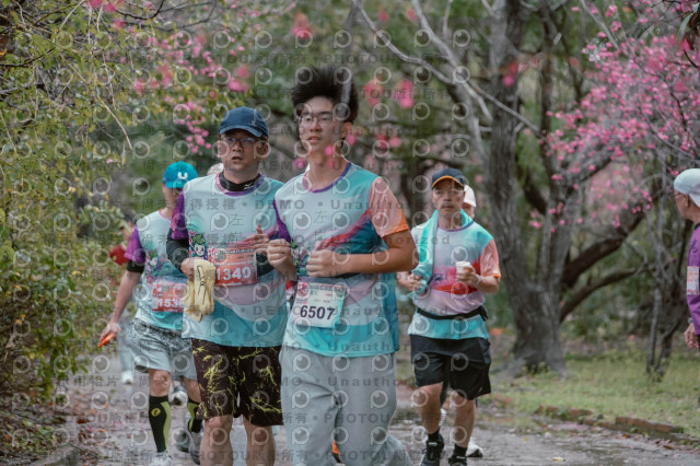 2026左岸竹東櫻花馬拉松Zhudong Sakura Marathon
