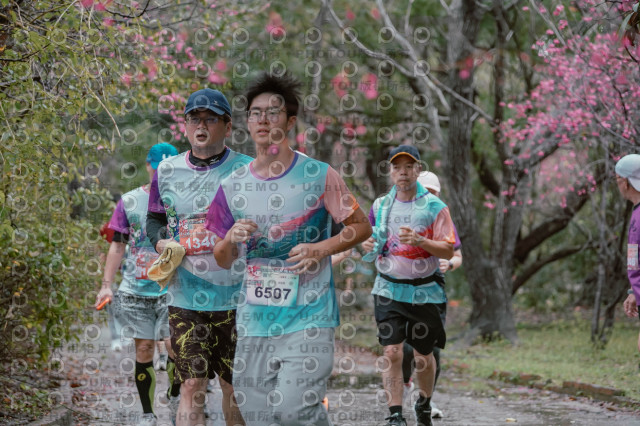 2026左岸竹東櫻花馬拉松Zhudong Sakura Marathon
