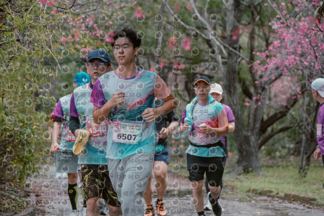 2026左岸竹東櫻花馬拉松Zhudong Sakura Marathon