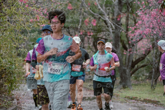 2026左岸竹東櫻花馬拉松Zhudong Sakura Marathon