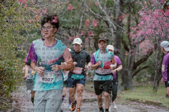 2026左岸竹東櫻花馬拉松Zhudong Sakura Marathon