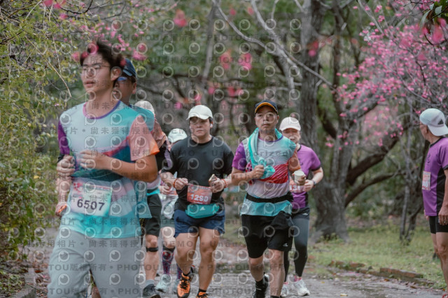 2026左岸竹東櫻花馬拉松Zhudong Sakura Marathon