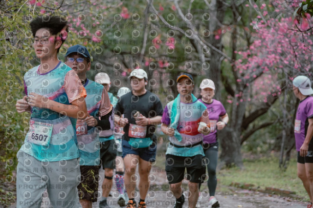 2026左岸竹東櫻花馬拉松Zhudong Sakura Marathon