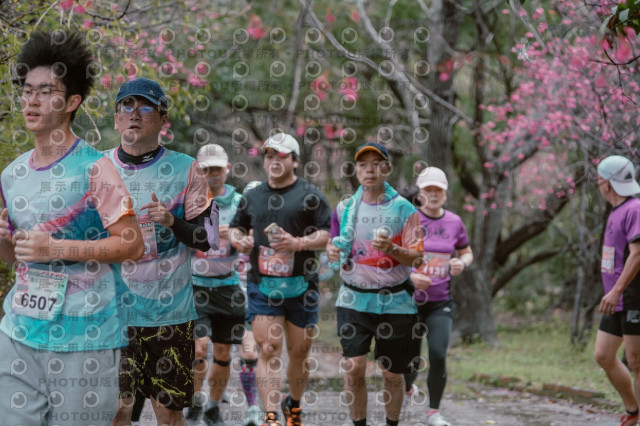 2026左岸竹東櫻花馬拉松Zhudong Sakura Marathon