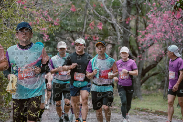 2026左岸竹東櫻花馬拉松Zhudong Sakura Marathon