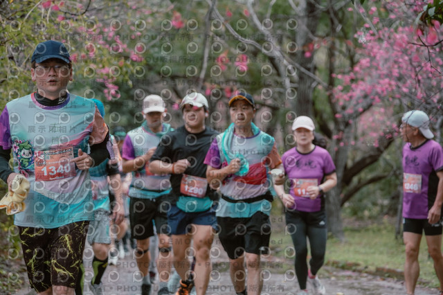2026左岸竹東櫻花馬拉松Zhudong Sakura Marathon